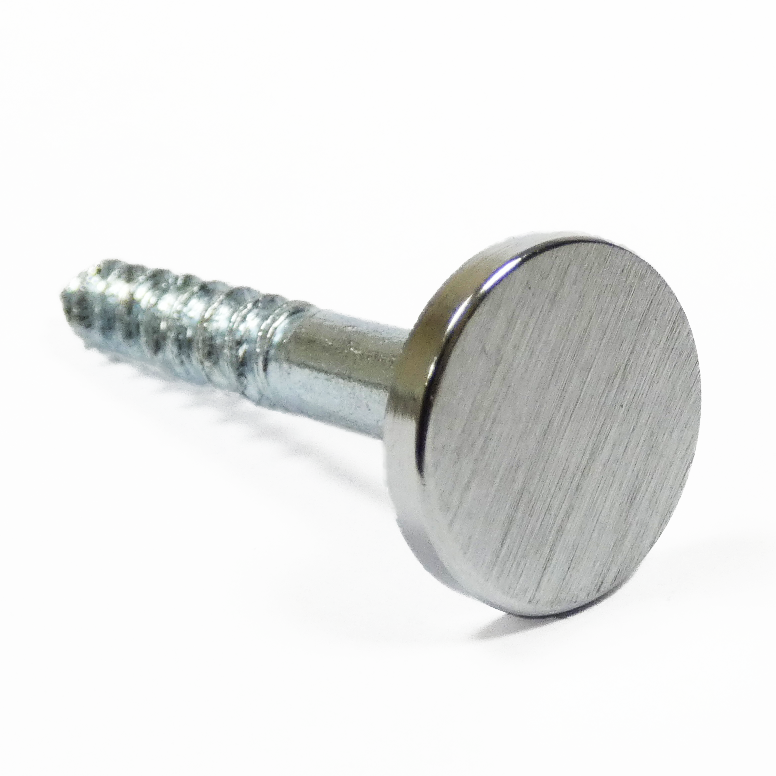 Brushed Chrome Flat Cap Screws